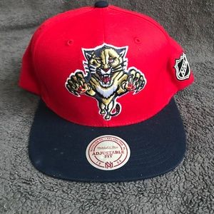 Florida panthers SnapBack